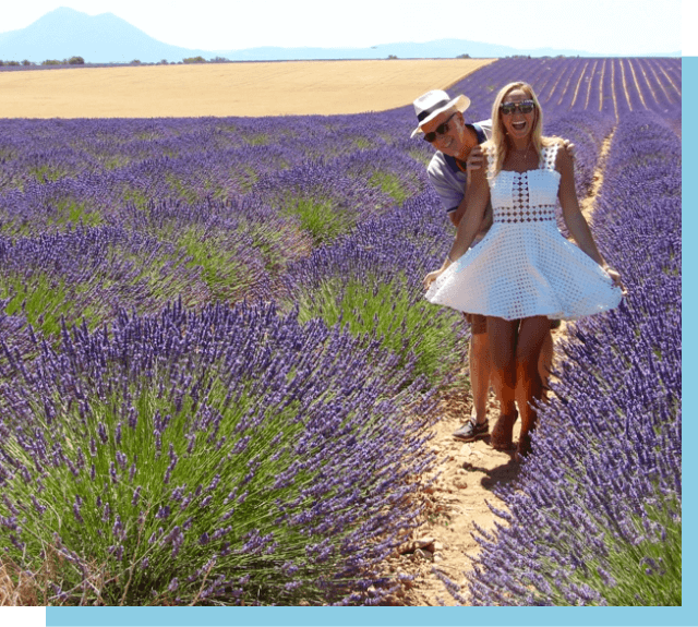 Lavender Fields Provence